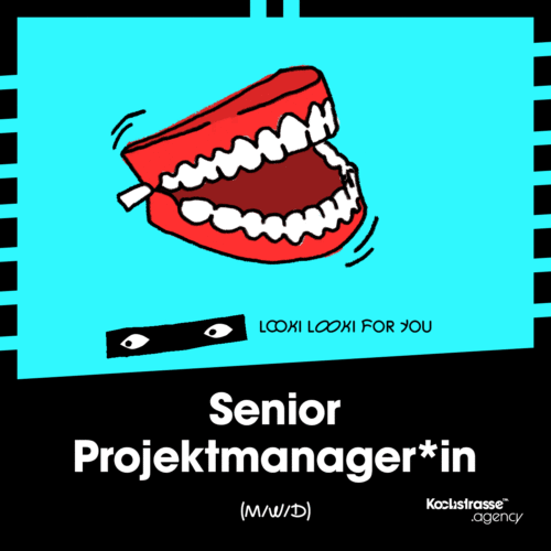Senior Projektmanager*in (m/w/d)