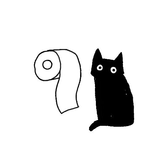 kochstrasse.agency giphy gif Cat toiletpaper
