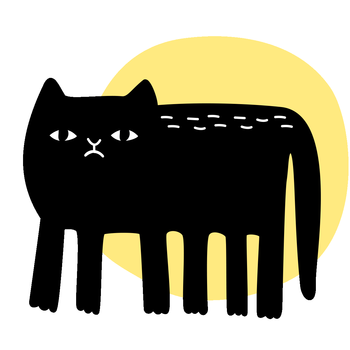 kochstrasse.agency giphy gif black cat