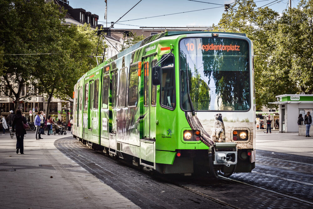 kochstrasse.agency Credentials & Cases – Zoo Hannover Straßenbahn Beklebung Beeindrückend