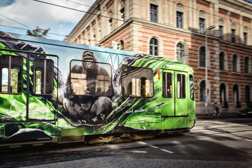 kochstrasse.agency Credentials & Cases – Zoo Hannover Straßenbahn Beklebung Beeindrückend